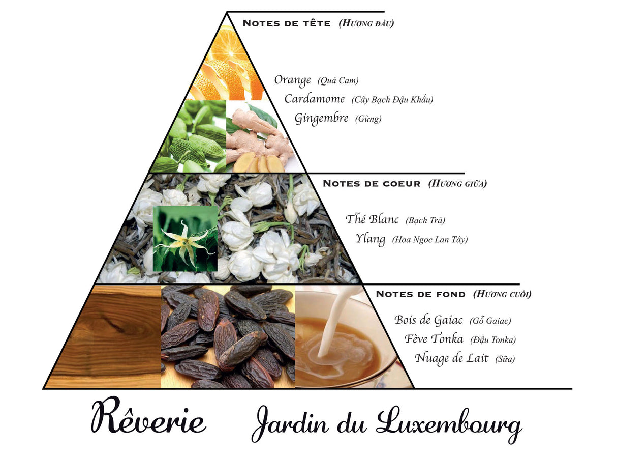 Rêverie Jardin du Luxembourg