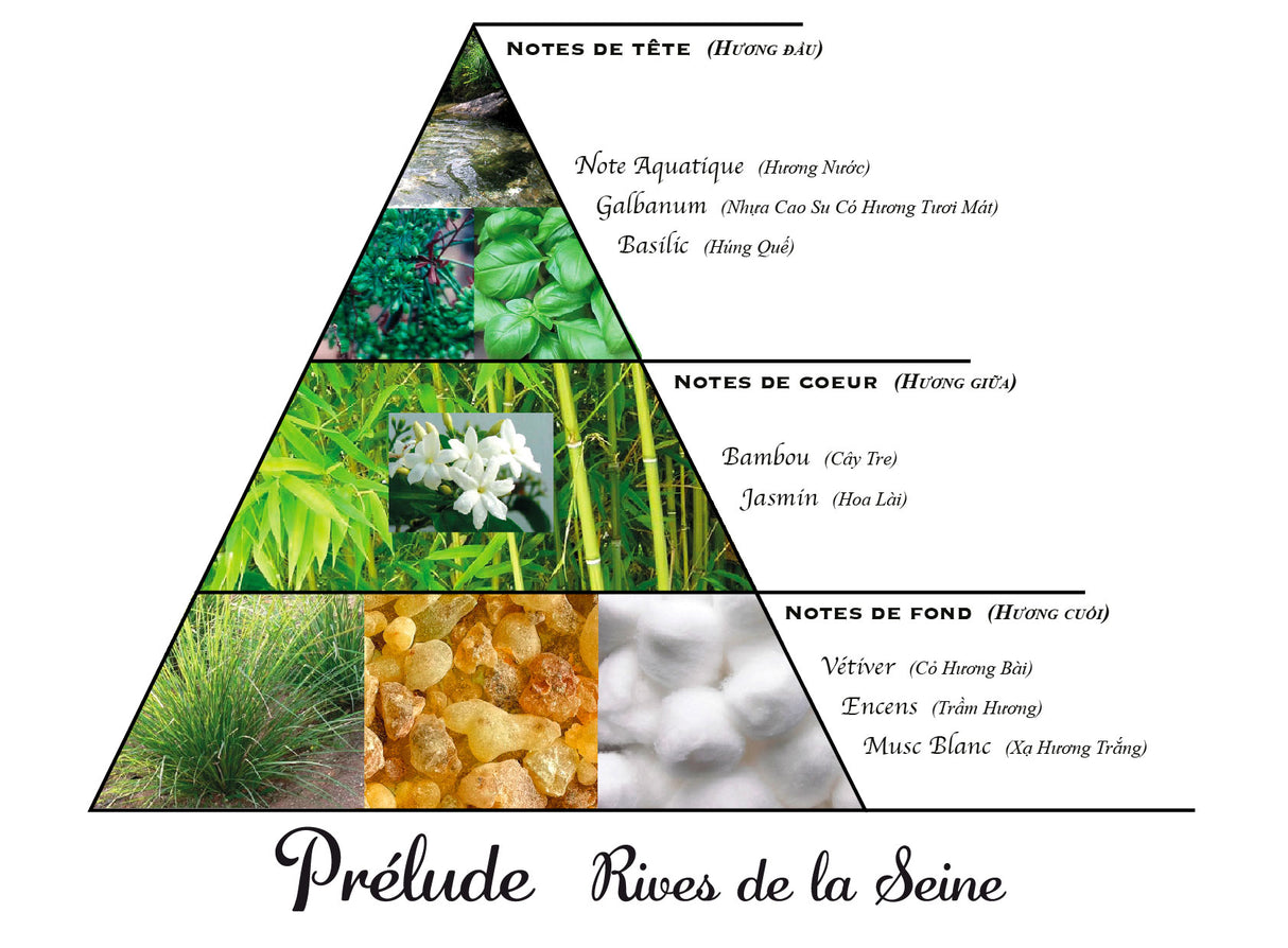 Prélude Rives de la Seine