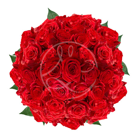 Rose Rouge