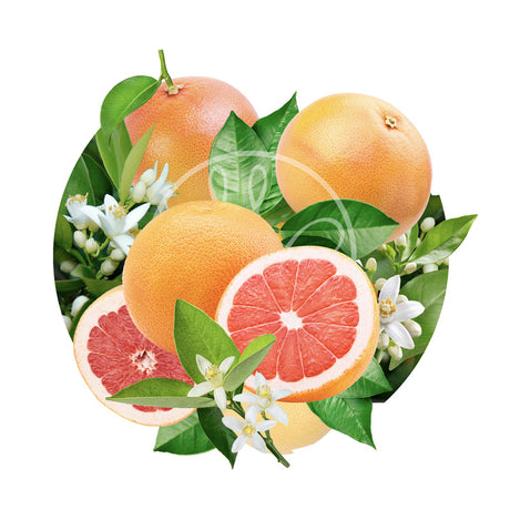 Pamplemousse