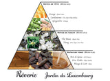 Rêverie Jardin du Luxembourg