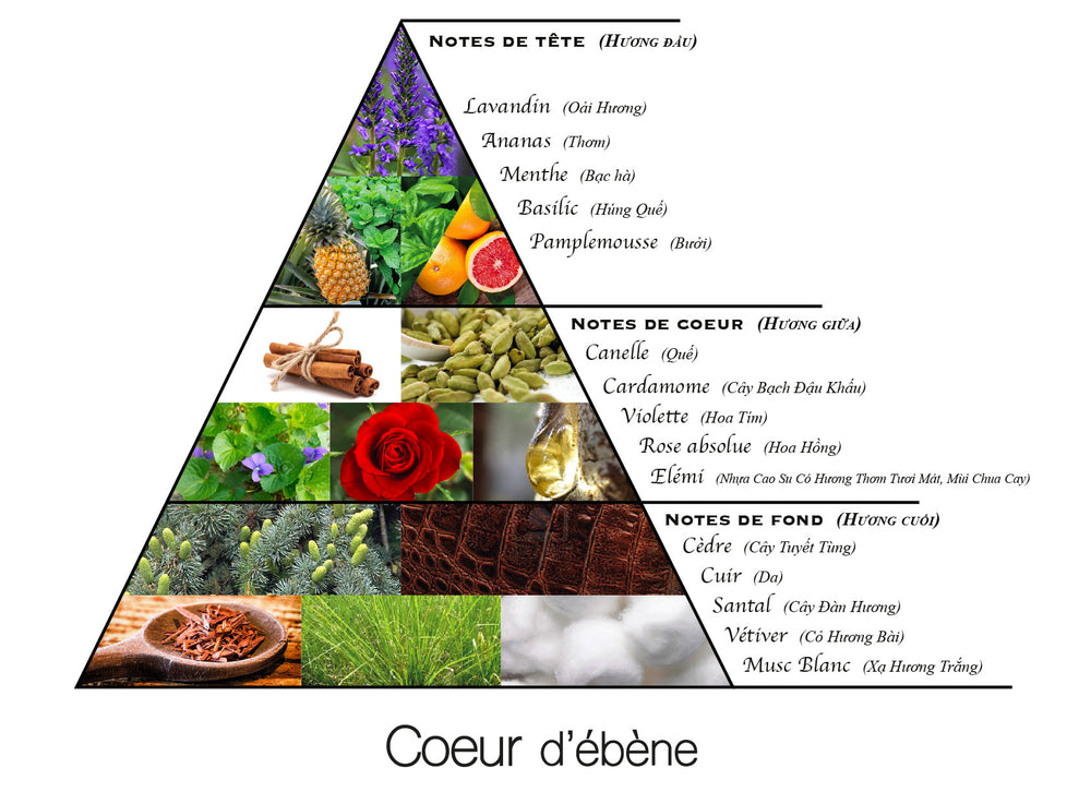 Cœur d'ébène