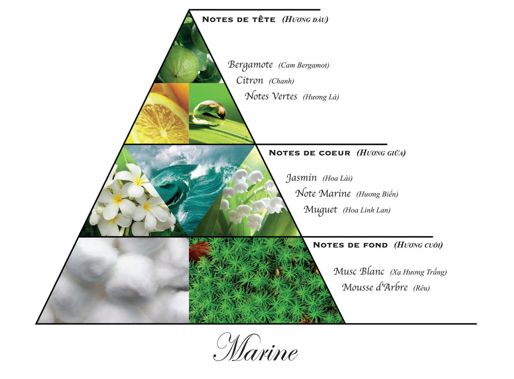 Marine